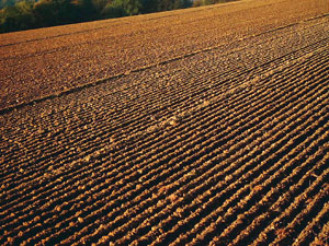 Photo of a freshly ploughed field. Condroz, Belgium. Source: Rasbak 2009 commons.wikimedia