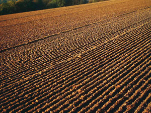 Foto eines frisch gepflügten Feldes.
Condroz, Belgien. Bildquelle:
Rasbak 2009 commons.wikimedia