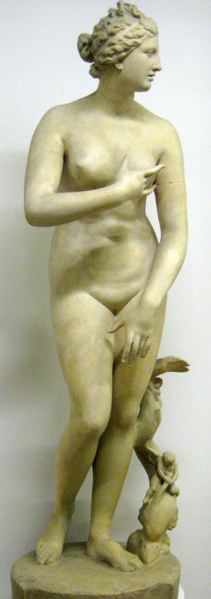 Venus de’ Medici, 1. century B. C.  
Cast, Pushkin Museum, Moscow; 
Uffizi Gallery, Florence. 
Shakko 2009 commons.wikimedia