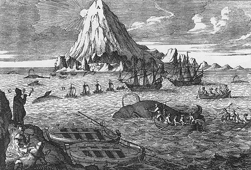 Nederlandse walvisvaarders jagen bij het eiland Jan Mayen 
op Groenlandse walvissen (Balaena mysticetus). 
Op de achtergrond de vulkaan Beerenberg. 
Gravure uit de achttiende eeuw. 
Ellis, R. 1994. Monsters of the Sea. Robert Hale Ltd.
Mgiganteus 2006 commons.wikimedia