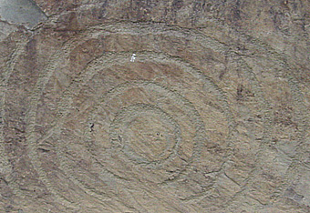 ‘Curbstone’, ‘ringmuursteen om ganggraf
Neolithicum, 2.500 v. Chr.
Dowth, Boyne Valley, County Meath, Ierland
Kalab 2008