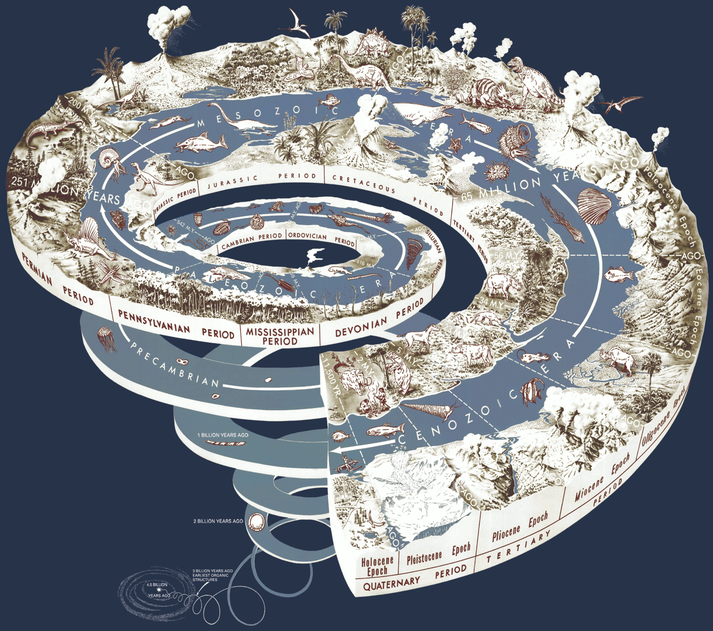 Visuele weergave van de geschiedenis van het leven op aarde:
Deze spiraalvormige tijdlijn van de evolutie van het leven 
representeert de huidige wetenschappelijke theorie en de 
belangrijkste gebeurtenissen in de ontwikkeling van het leven 
op aarde. In de biologie bedoelt ‘evolutie’ veranderingen in 
de erfelijke eigenschappen van biologische populaties in 
opeenvolgende generaties. Evolutionaire processen leiden tot 
diversiteit op alle biologische organisatieniveaus, van reiken 
via soorten en individuele organismen tot moleculen, zoals 
DNA en eiwitten. De overeenkomsten tussen alle hedendaagse 
organismen wijzen op een gemeenschappelijke voorouder 
van alle bekende soorten, levende en uitgestorvene. 
JohnnyMrNinja 2012 wikipedia.org