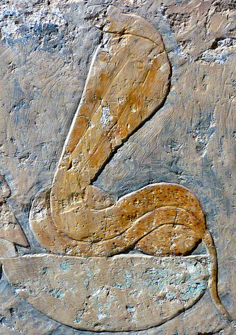 Wadjet als cobra.
Reliëf, tempel van Hatshepsut.
Deir el-Bahari, Thebaanse necropolis.
JMCC1 2001 commons.wikimedia