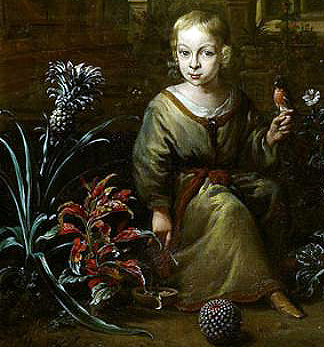 Jan Weenix 1694, detail
Agnes' eerste gekweekte ananas.