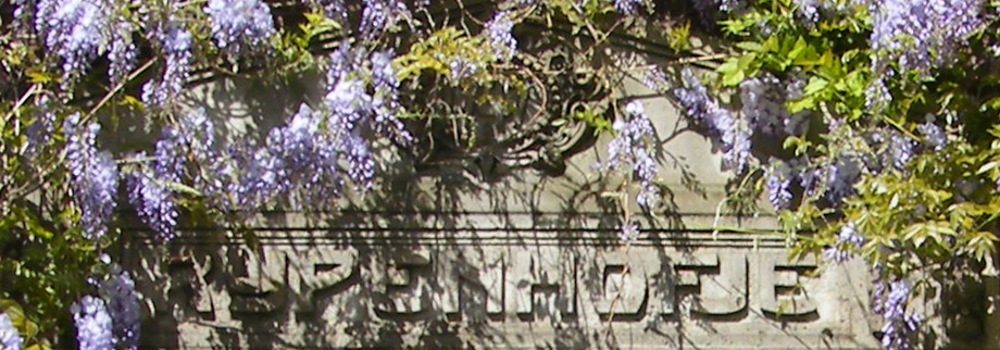 In steen gehouwen naam van het 'Rijpenhofje' 
met blauwe regen boven de ingang van het hofje. 
Kalab 2013