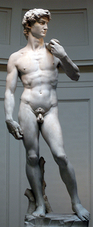Michelangelo's David 1504
Sculptuur, Accademia Florence
Rico Heil 2005, commons.wikimedia