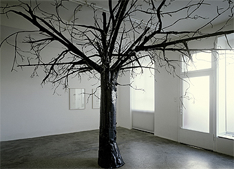 Kathie Holten, geb. 1975 in Dublin.
The Black Tree / de zwarte boom 2005
Hout, karton, draad, zwart gaffer tape
Met toestemming van Van Horn