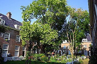 Huiszittenweduwenhof / Karthuizerhof, 
met bleekveld, moestuinen en waterpompen 
Stichter: Oudezijds en Nieuwezijds<br>Huiszittenmeesters 1649. 
Architect: D. Stalpaert 1649 - 1650
Tot 1973: 104 huizen. 
Na 1986 restauratie: 65 huizen. 
Ymere, Rijksmonument 2194. 
E. Draisma 2011, commons.wikimedia